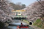 市桜5810桜橋