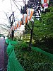 上野公園葉桜３．２９.jpg