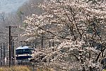 210327kamigori-2.jpg