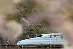 210327ichikawa-1.jpg