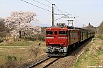 回9120レ　EWD75759+旧客　金谷川～松川　2016.04.09