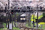 313系　谷峨～山北　2009.04.04