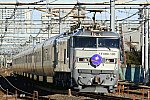 8010レ　カシオペア　EF510-510　与野～北浦和　2013.01.27