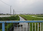 2021.5.9 (5) 勢井前川 - 栄古橋からかわかみ 1990-1480