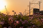 210420sintetsu-1.jpg