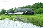 8226レ　D51498　山都～喜多方　2011.05.28