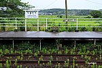 /railrailrail.xyz/wp-content/uploads/2021/07/IMG_4957-2-800x534.jpg