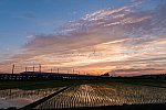 210621kanagasaki-1.jpg