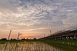 210622kanagasaki-1.jpg