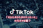 /207hd.com/wp-content/uploads/2021/07/tiktok記事_thumb.jpg