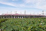 210718kanagasaki-1.jpg