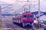 199305[N207-19]撫牛子631