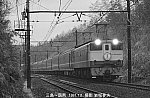 8100102 三島さくらEF651100