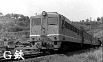 196904ことぶきDF50551