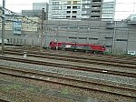 DSC00310_2079-51.jpg