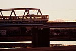 2021_10_03tamagawa.jpg