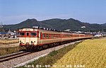 5811707 丹波2号