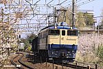 試9991レ　EF651102　早川～根府川　2010.04.10