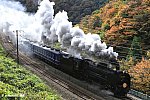 D51498　SLみなかみ　上牧～水上　2009.11.03