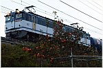 ld 21 11 7 c1 m koshigaya ef65 2117 8179 a1001