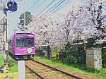 /stat.ameba.jp/user_images/20211118/18/fuiba-railway/cc/36/j/o1080080915033402122.jpg