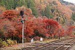 /railrailrail.xyz/wp-content/uploads/2021/11/IMG_1124-2-800x534.jpg