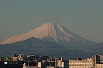 81_fuji