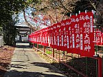 2022.1.1 (2) 古井神社 - 千本のぼりばた 2000-1500