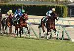 Shinzan_Kinen_2021