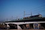 2022_01_26musashino2p.jpg