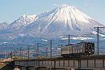 220108hakubi-4.jpg