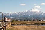 220108hakubi-7.jpg