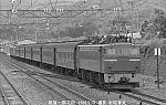 8204605新疋田EF7049