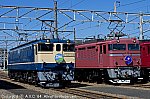 EF651105＆EF8181 202110