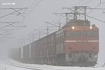 遅3093レ　EF81729　来迎寺～前川　2016.03.04