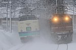 4076レ EF81124・3371M くびき野1号　485系T16　越後岩塚～塚山　2011.03.05