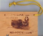 赤沢森林鉄道ﾎﾞｰﾙﾄﾞｳｨﾝﾊﾟｽ1989表