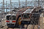 220226suma-5.jpg