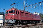 EF8181 202203