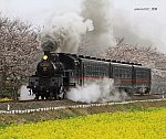 C1266　北真岡～西田井　2013.03.30