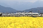 50000形VSE　栢山～富水　2017.04.02