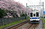 8000系（東武鉄道） 201604