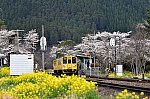 4-25・b-DSC_7230・４８３８Ⅾ・南由布駅・