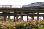 220412kanagasaki-1.jpg