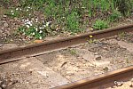 /railrailrail.xyz/wp-content/uploads/2022/05/IMG_8460-2-800x534.jpg