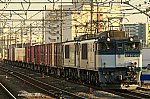 89レ　EF641003+EF64（広島色）　南流山　2012.02.04