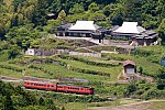 220522tsuyamasen-1.jpg