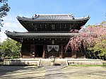 2022.4.1 (23) 妙興寺 - 仏殿 1980-1480