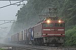 4076レ　EF81718　越後岩塚～塚山　2013.07.13