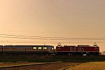 EF81-95電気機関車